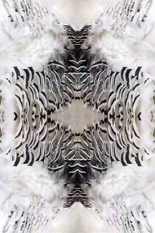 Reflection