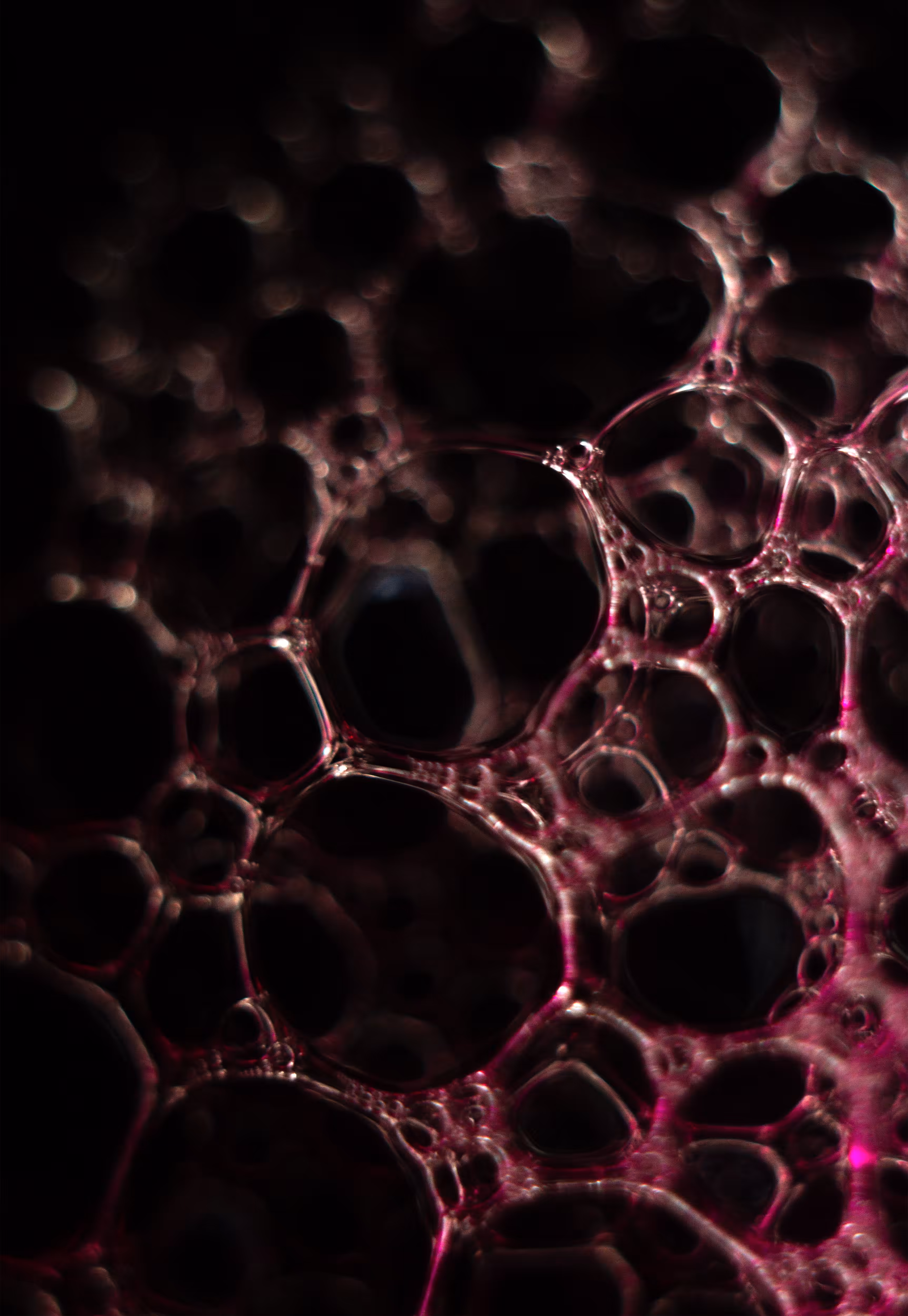 Abstract World of Soap Bubbles: #39 Bubbles