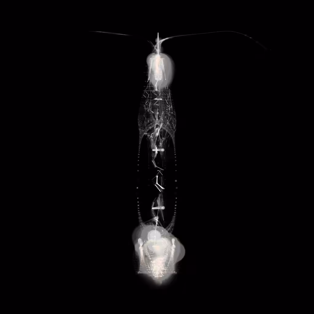 Spectral Beings: Spectral Being 146