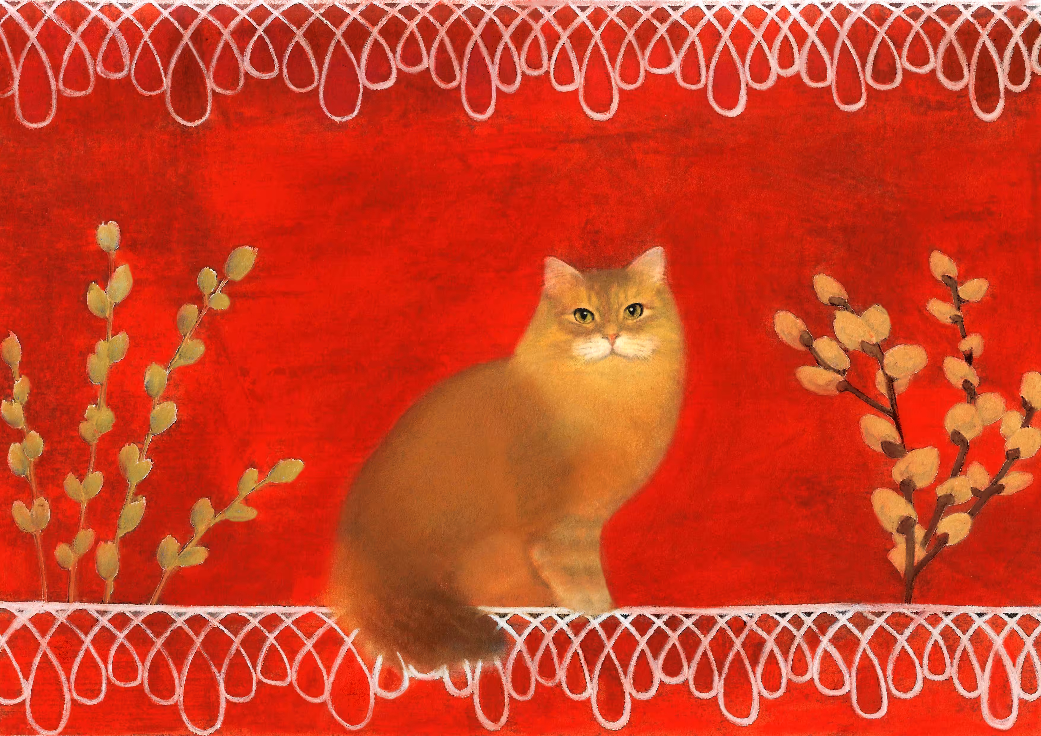 cats&another beautiful pets: Lace