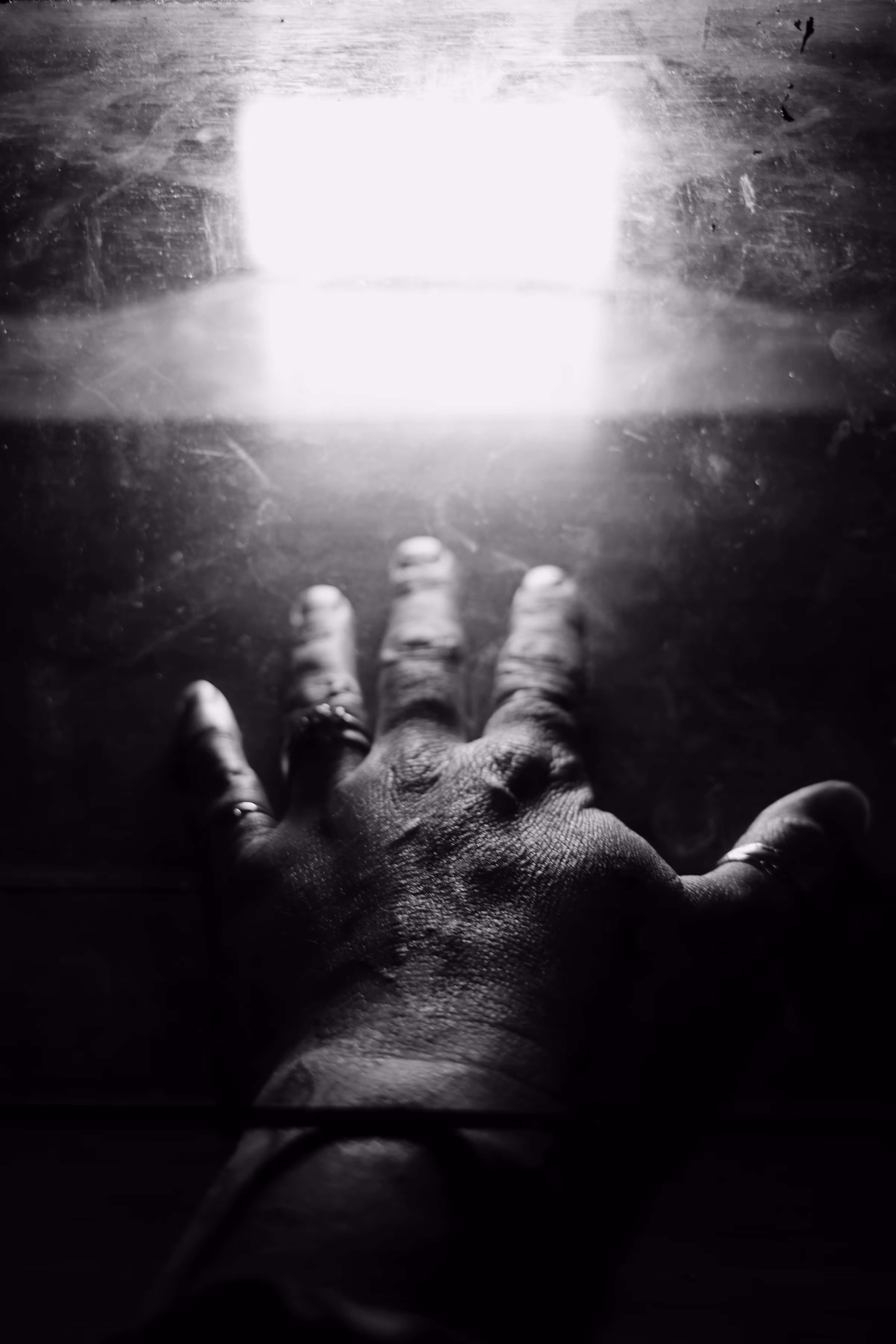 _seizing opportunity