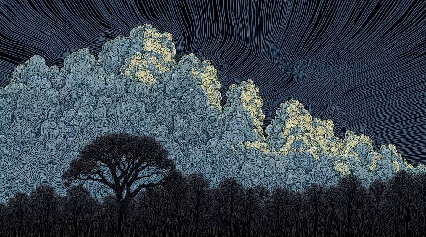 Landscape - 26