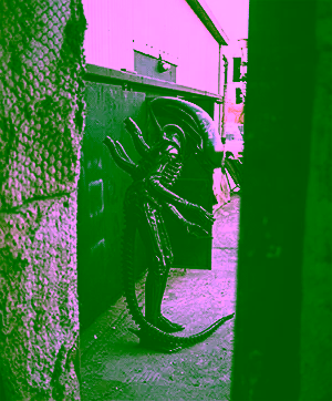 In fraganti and then you die
