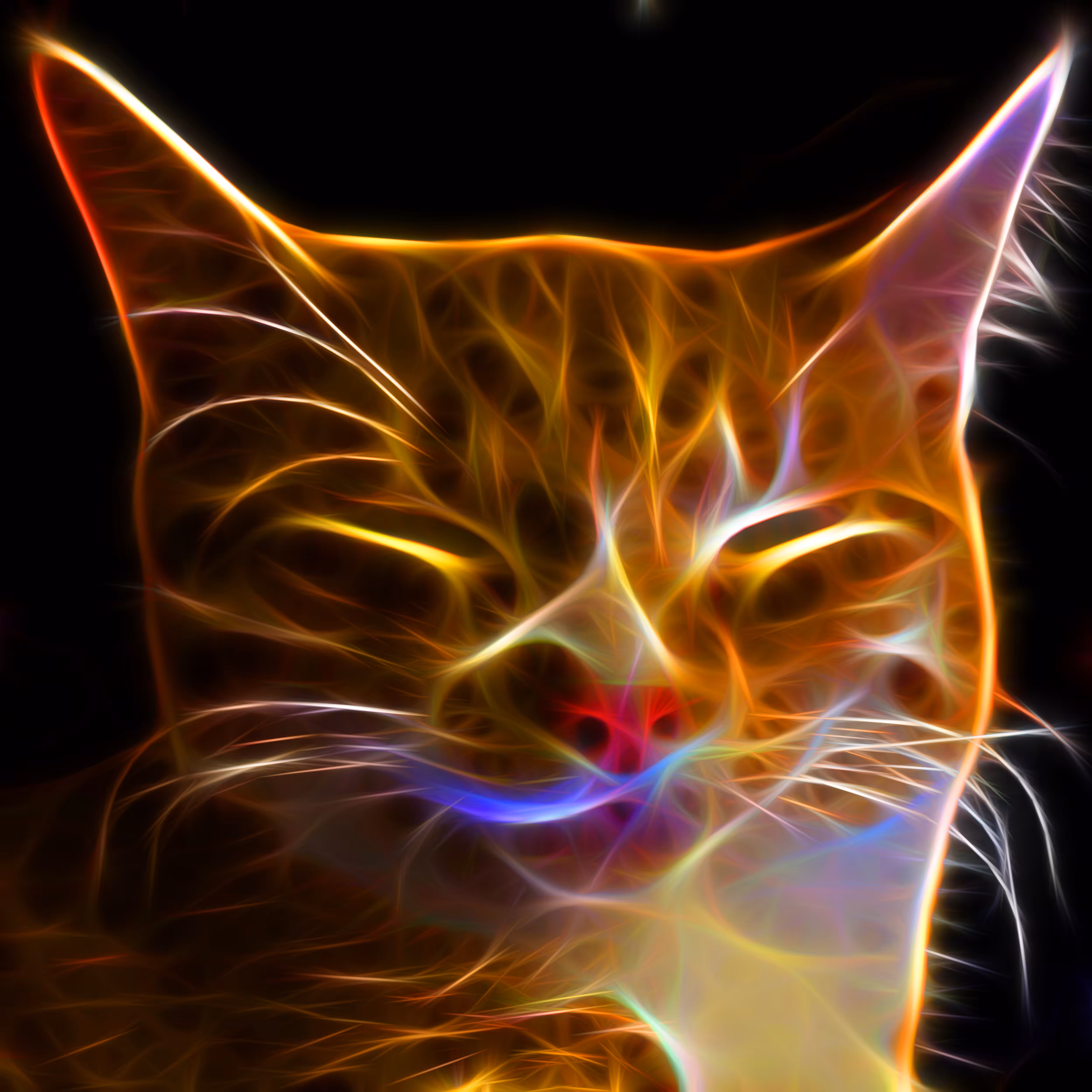 Khajiit Has Wares If You Have Crypto
