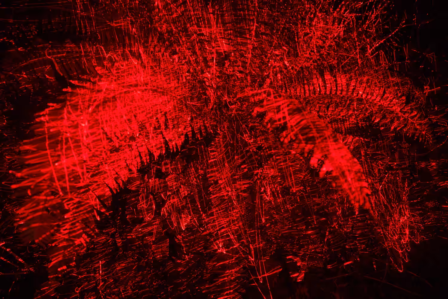 Effluesense: Fern