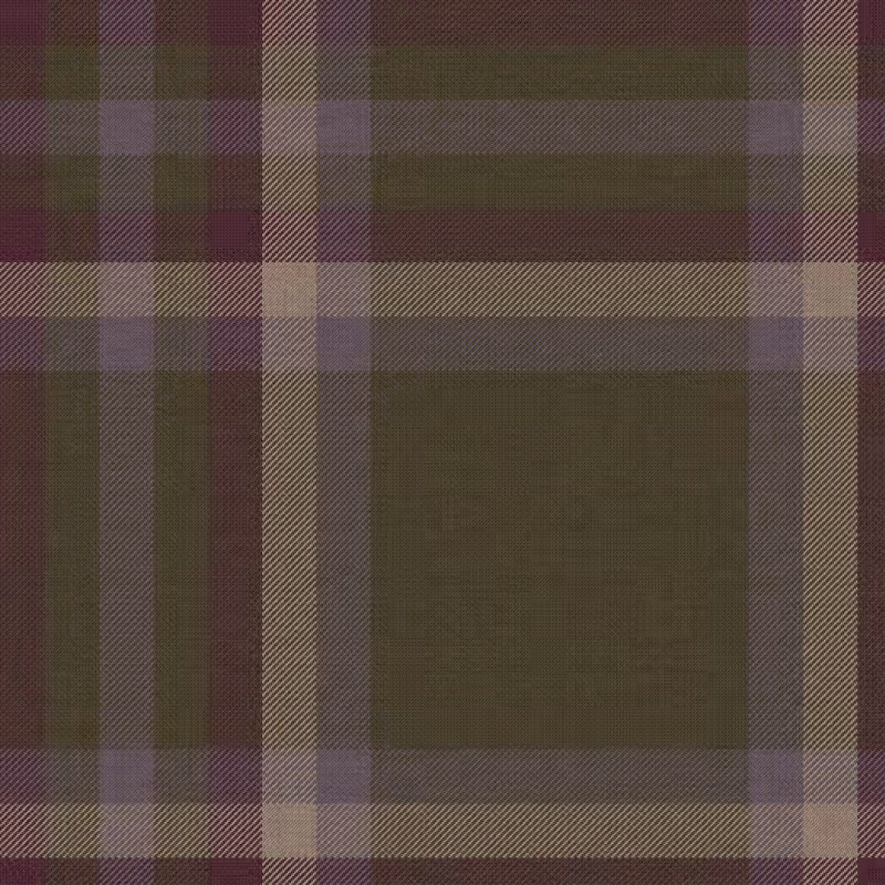 Tartan Cloth #23