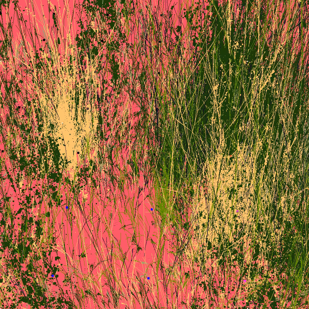 Infinite Garden: 41144 Flowers