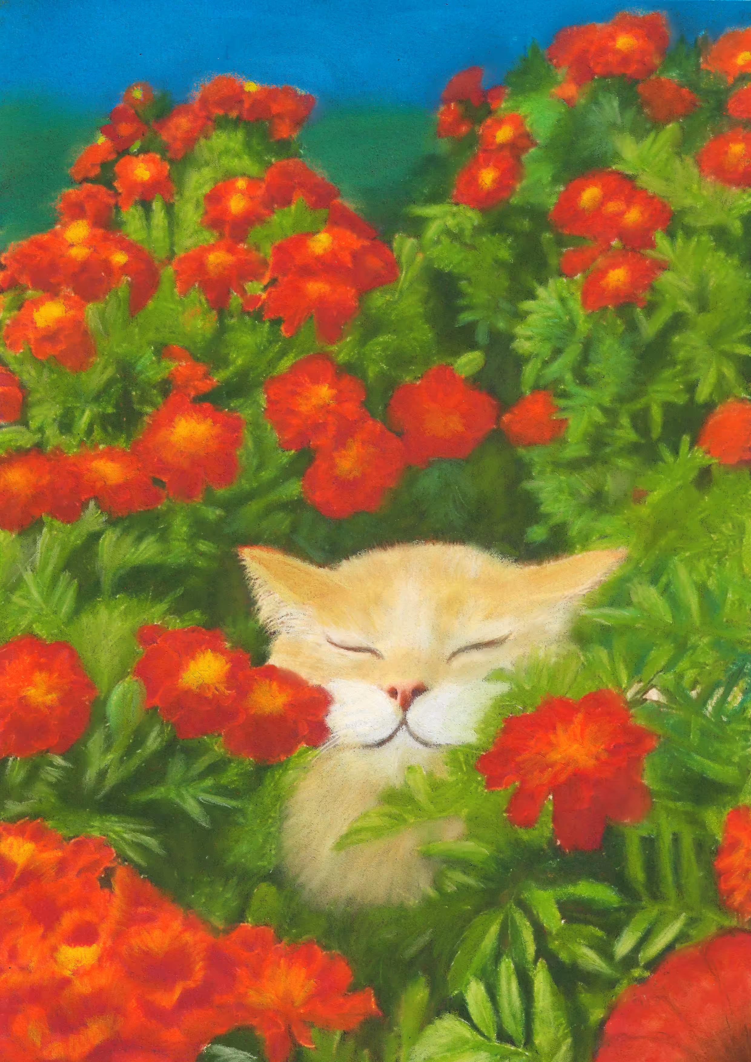 Sunny Day 