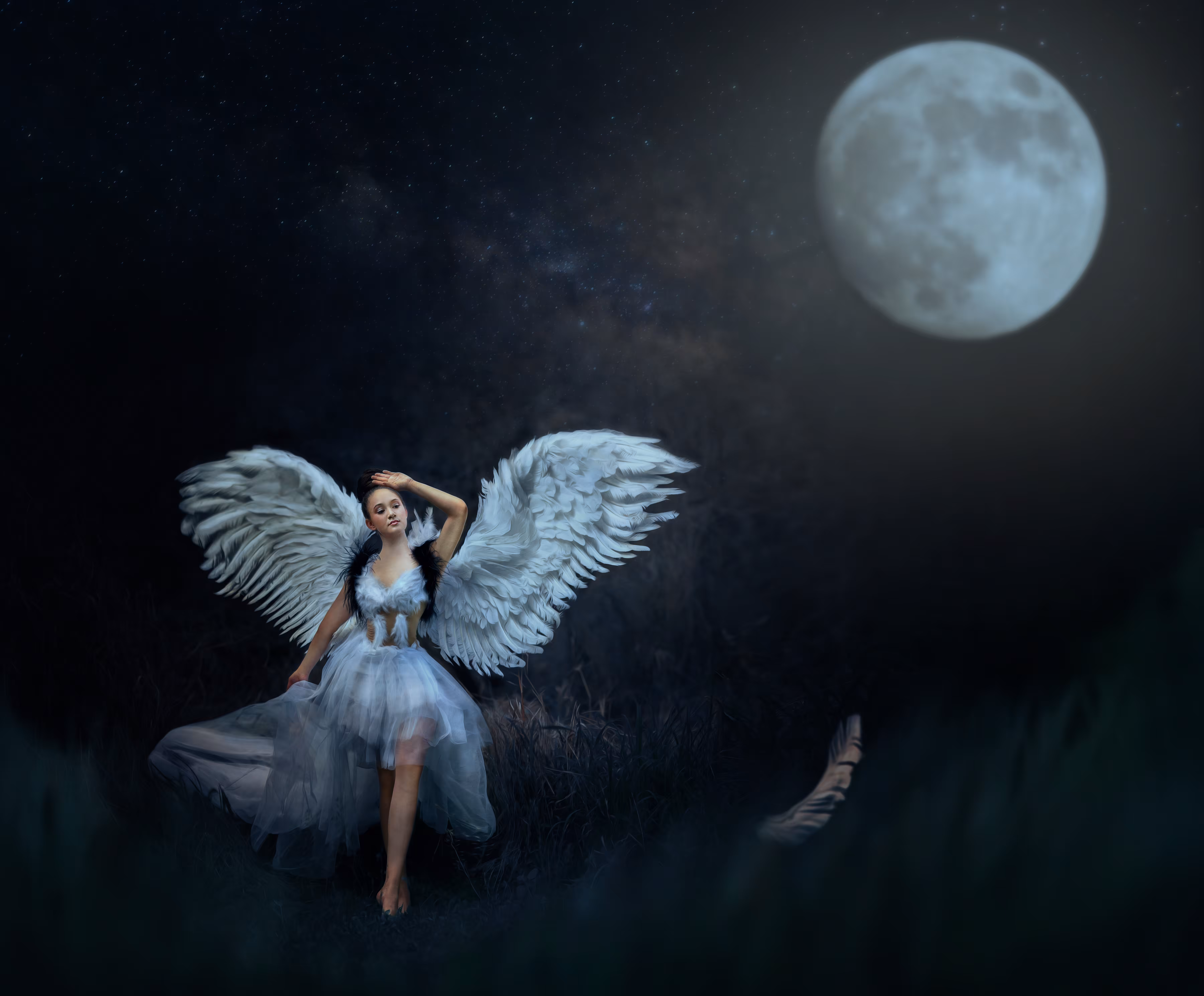 Moonlight