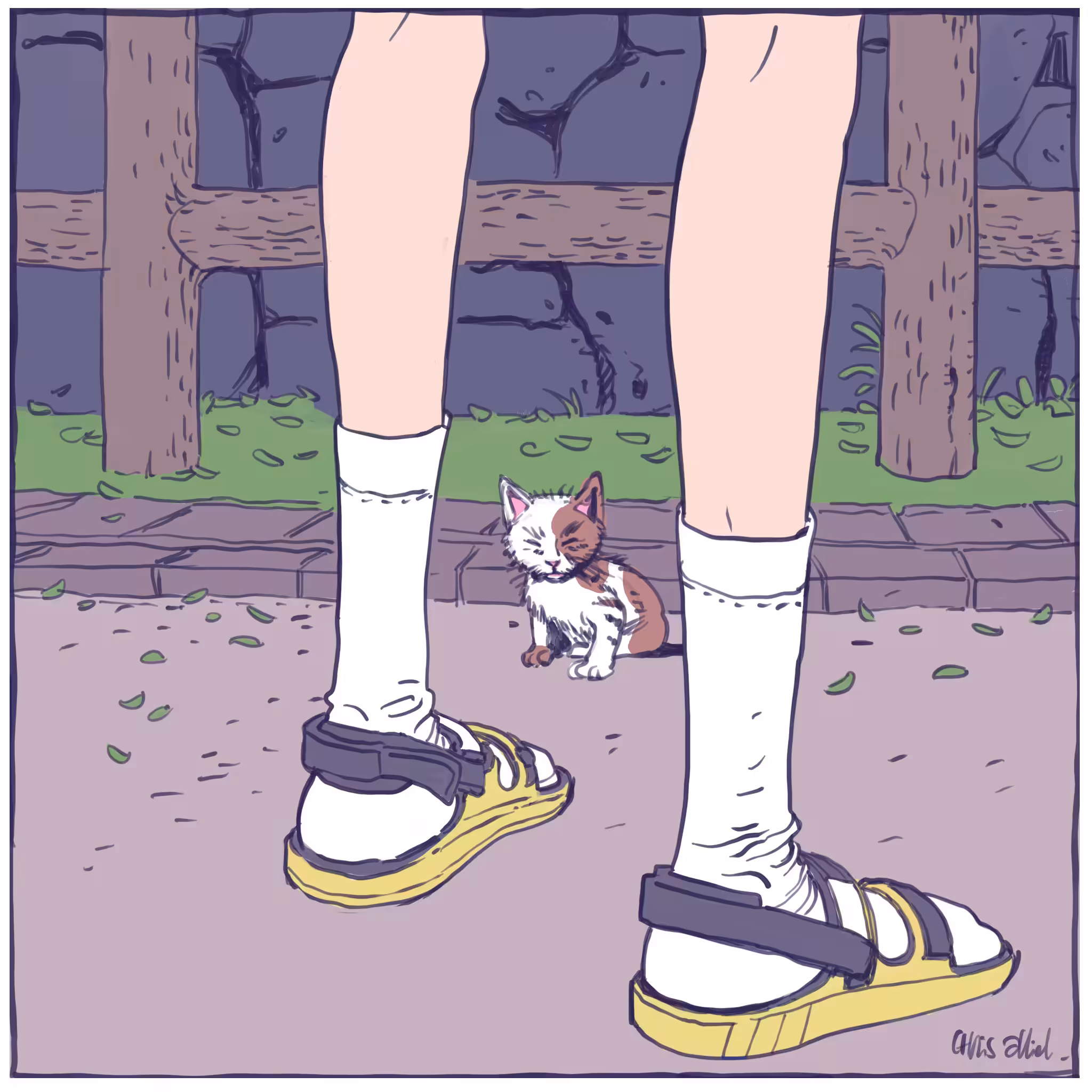 CROSSROAD STORY PART2