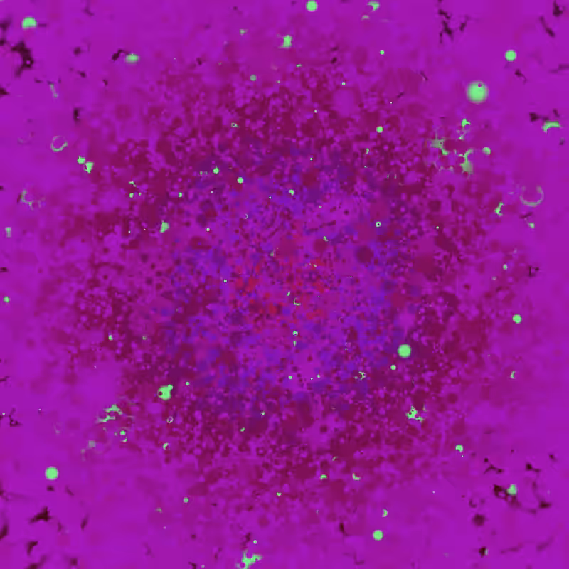 Coalesce #223