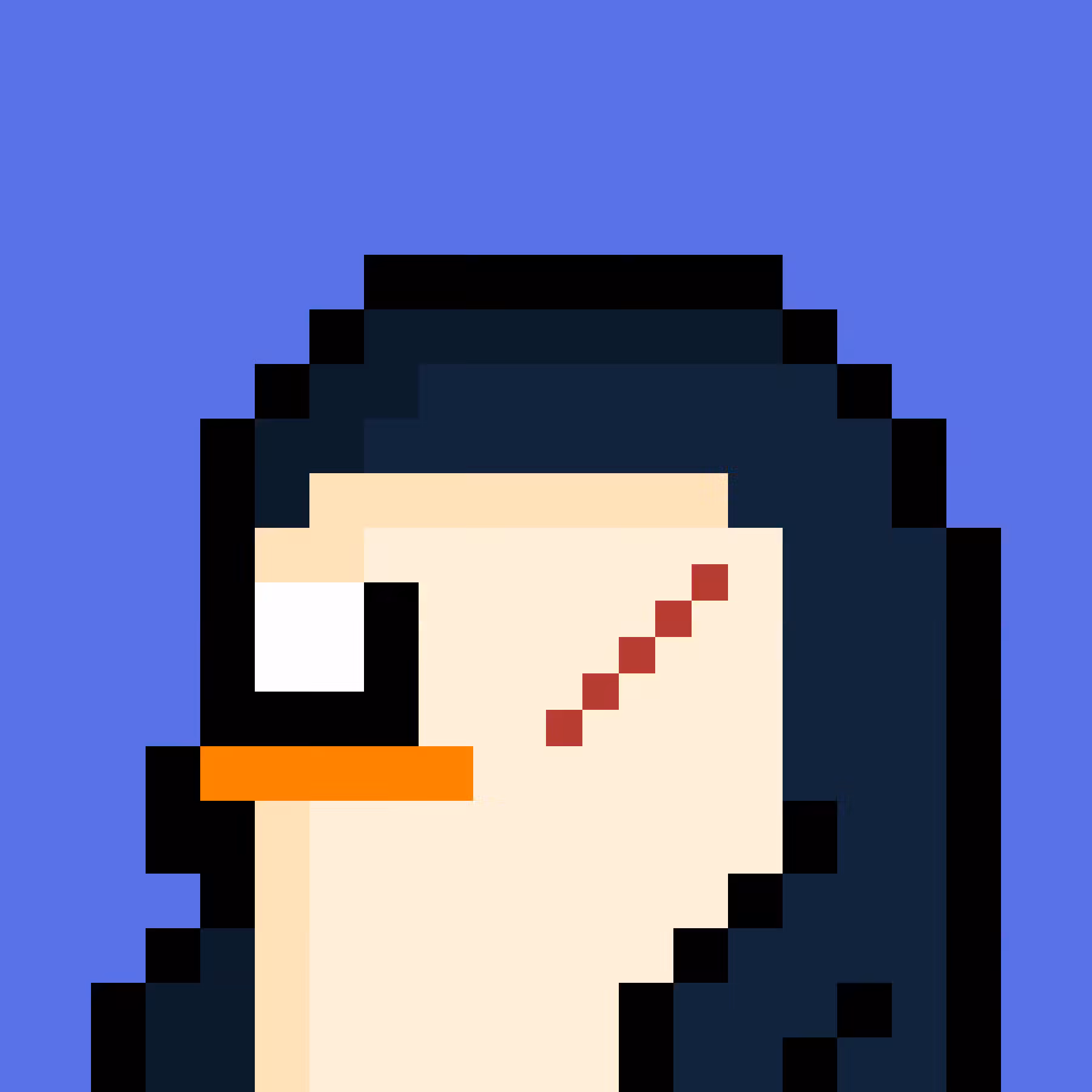 Profile BitPingo #003