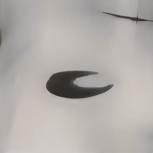 Fountain 0000047
