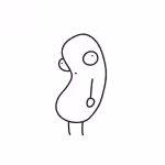 BEAN.