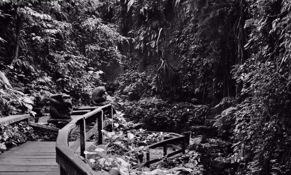 Welcome to the Jungle