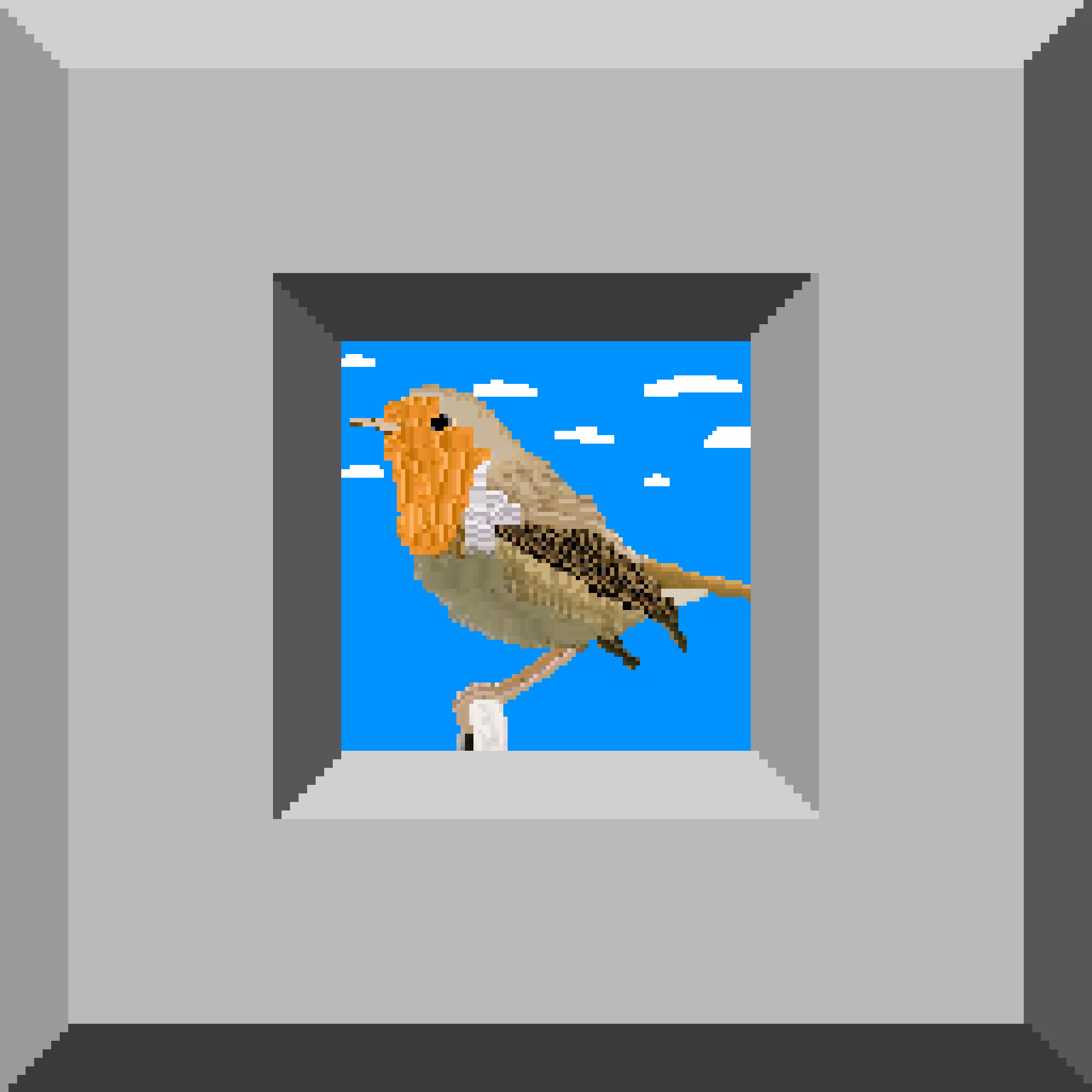 Bird #1