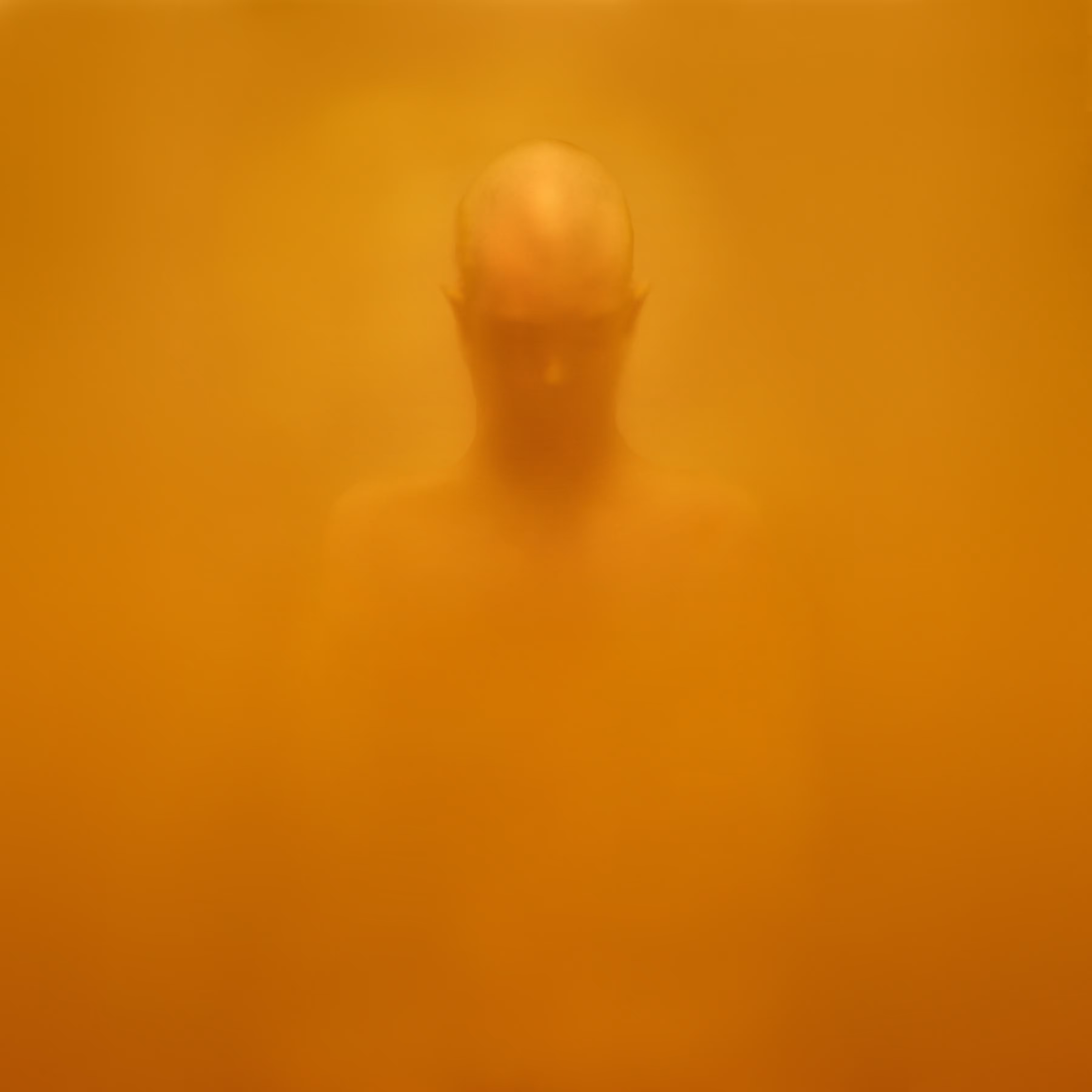 Untitled or The Outsider 9 | From Body-Road Series