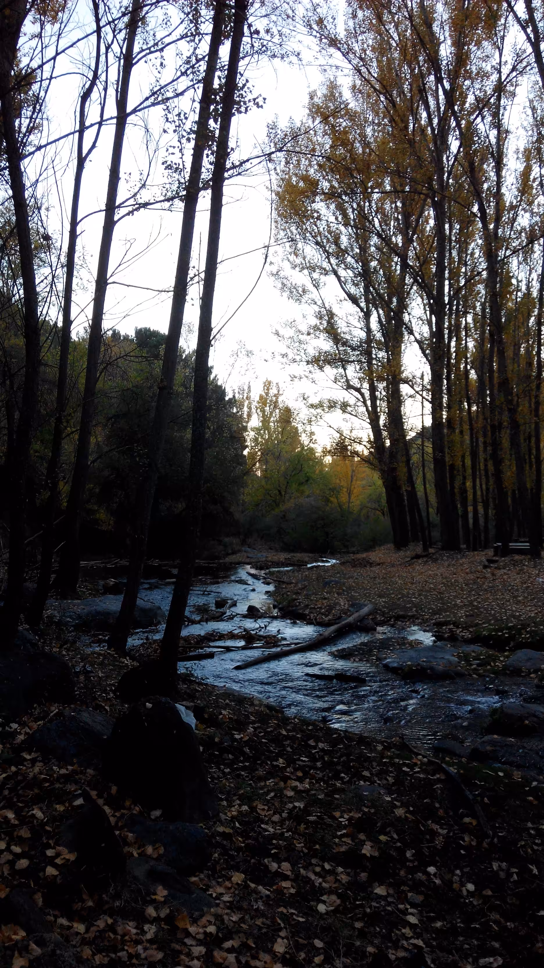 A Bit of Nature
