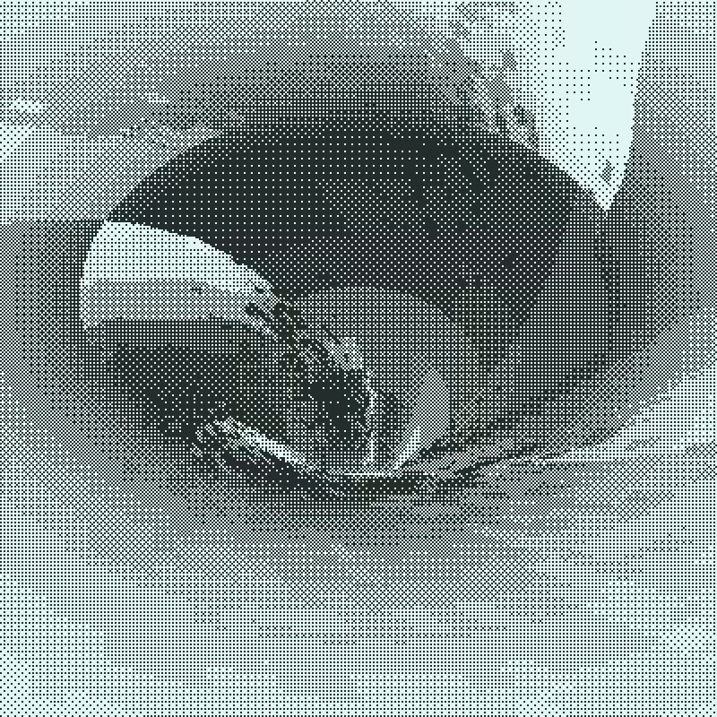 Down the Drain #66