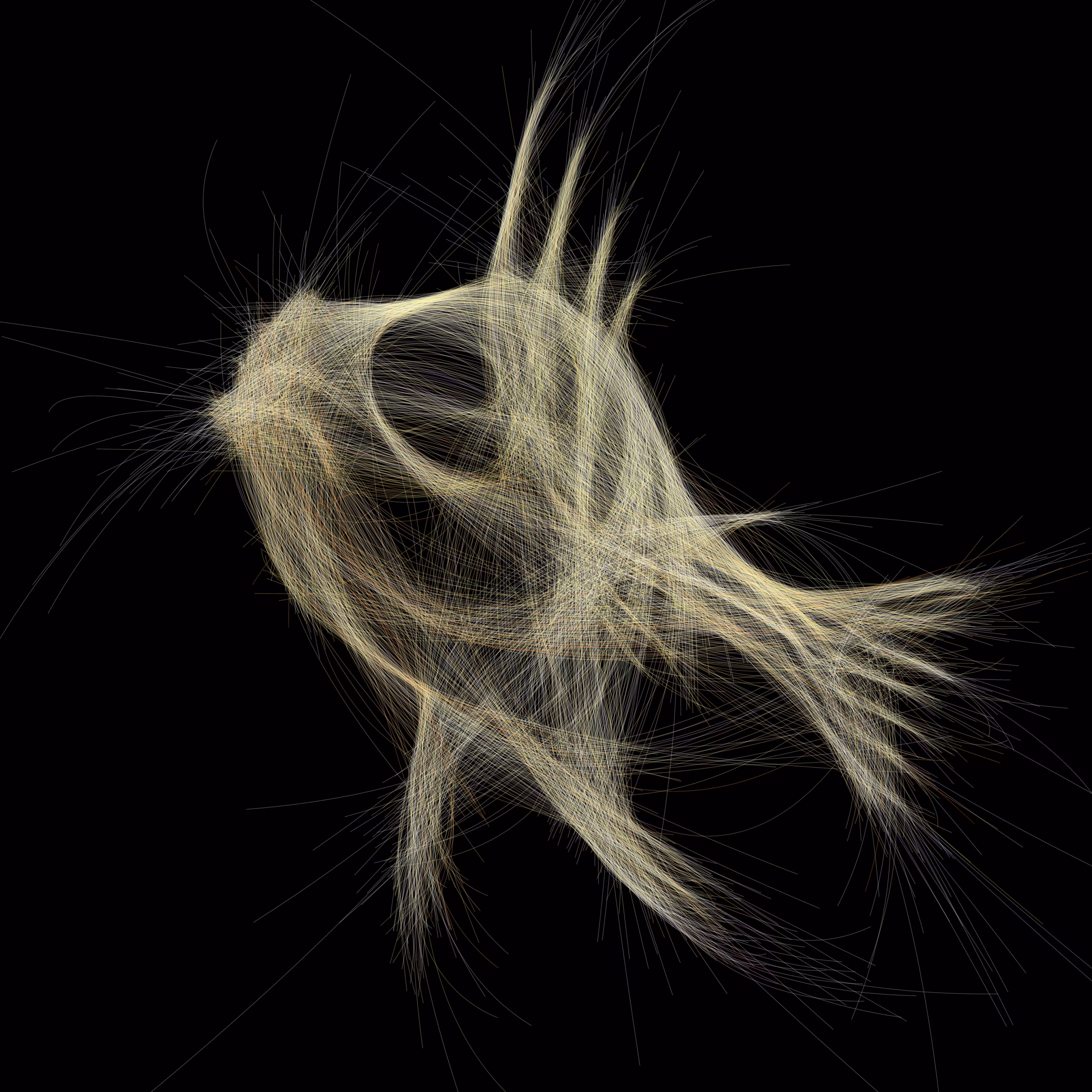 UNDERWATER: Underwater 61
