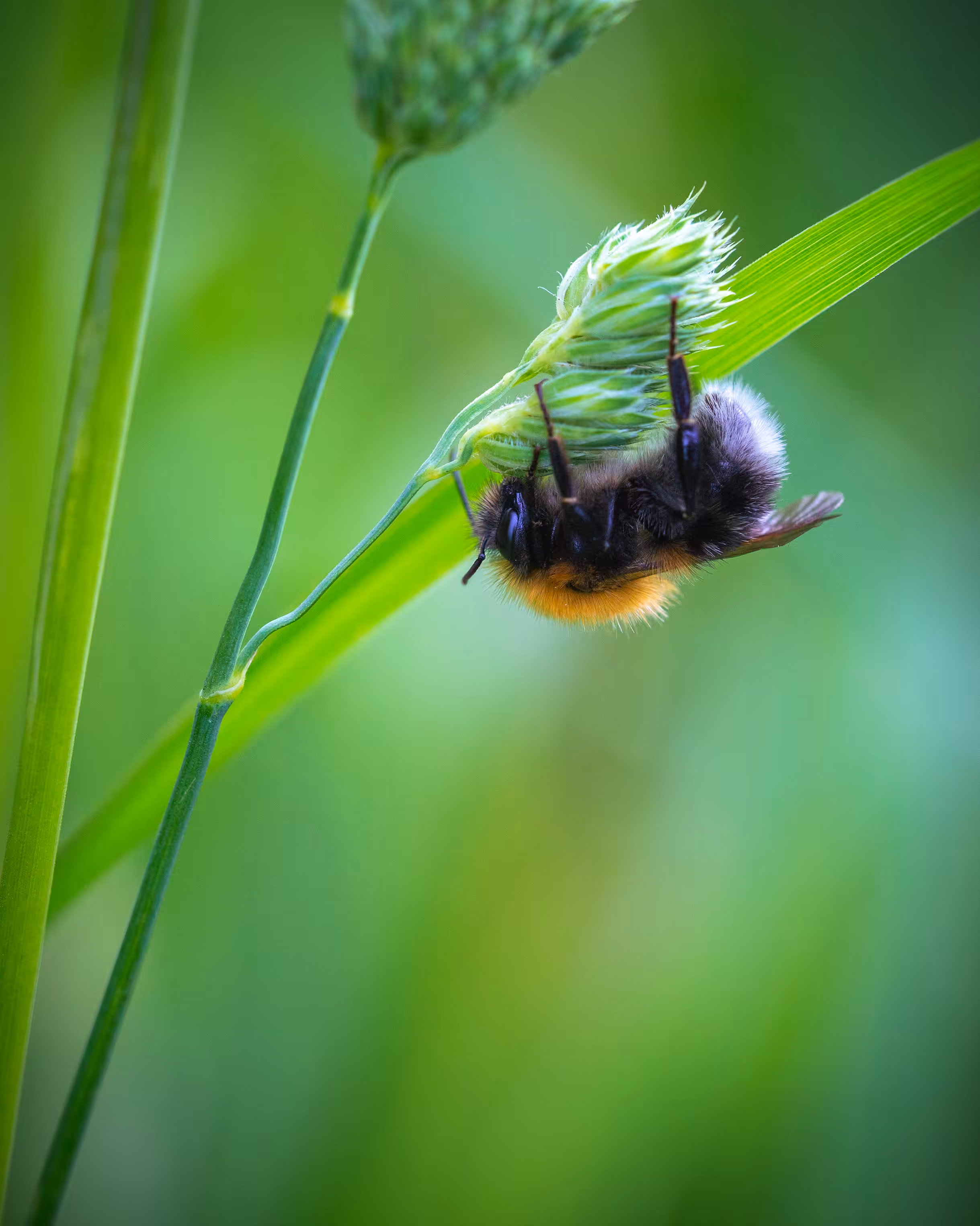 Hanging Around
