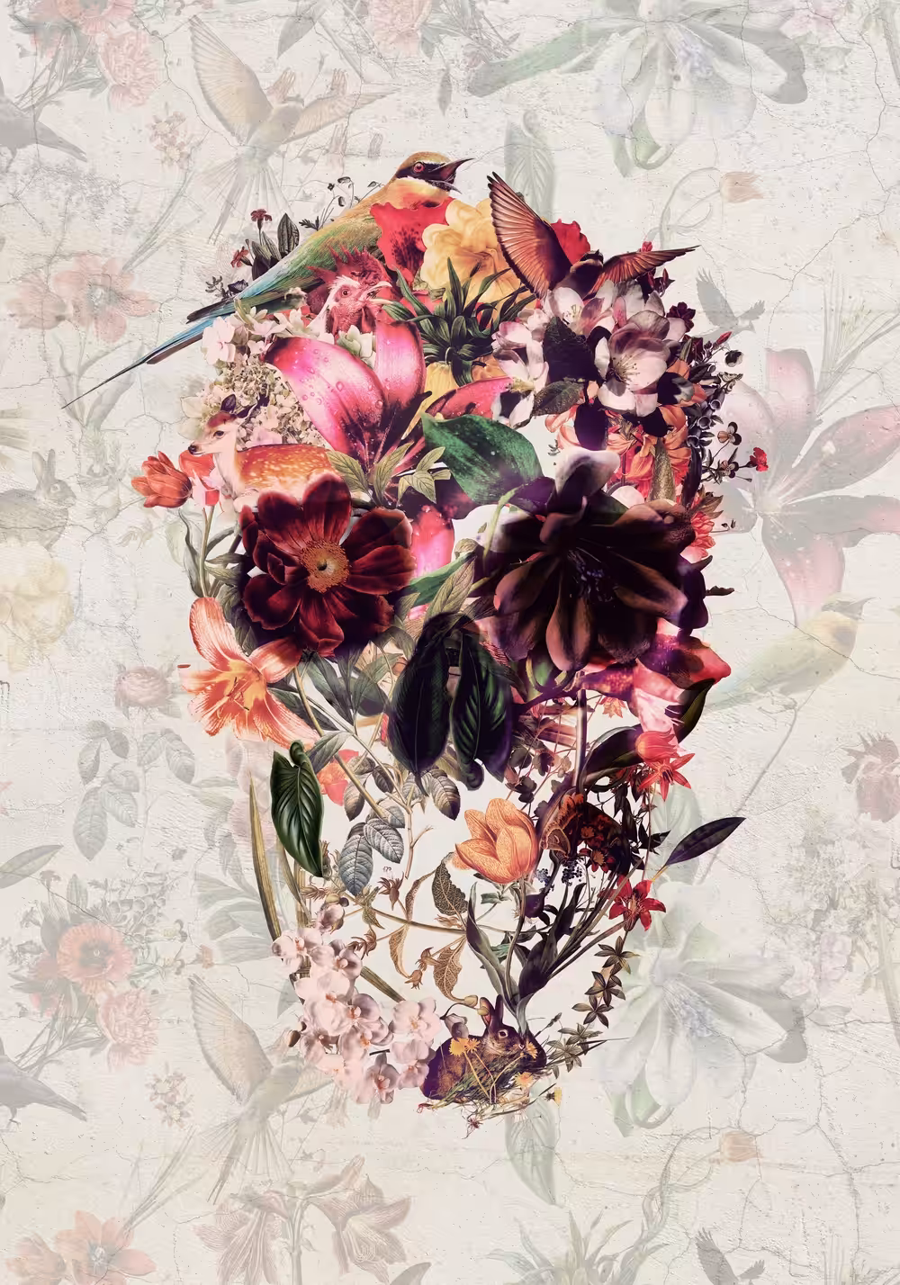 New Skull