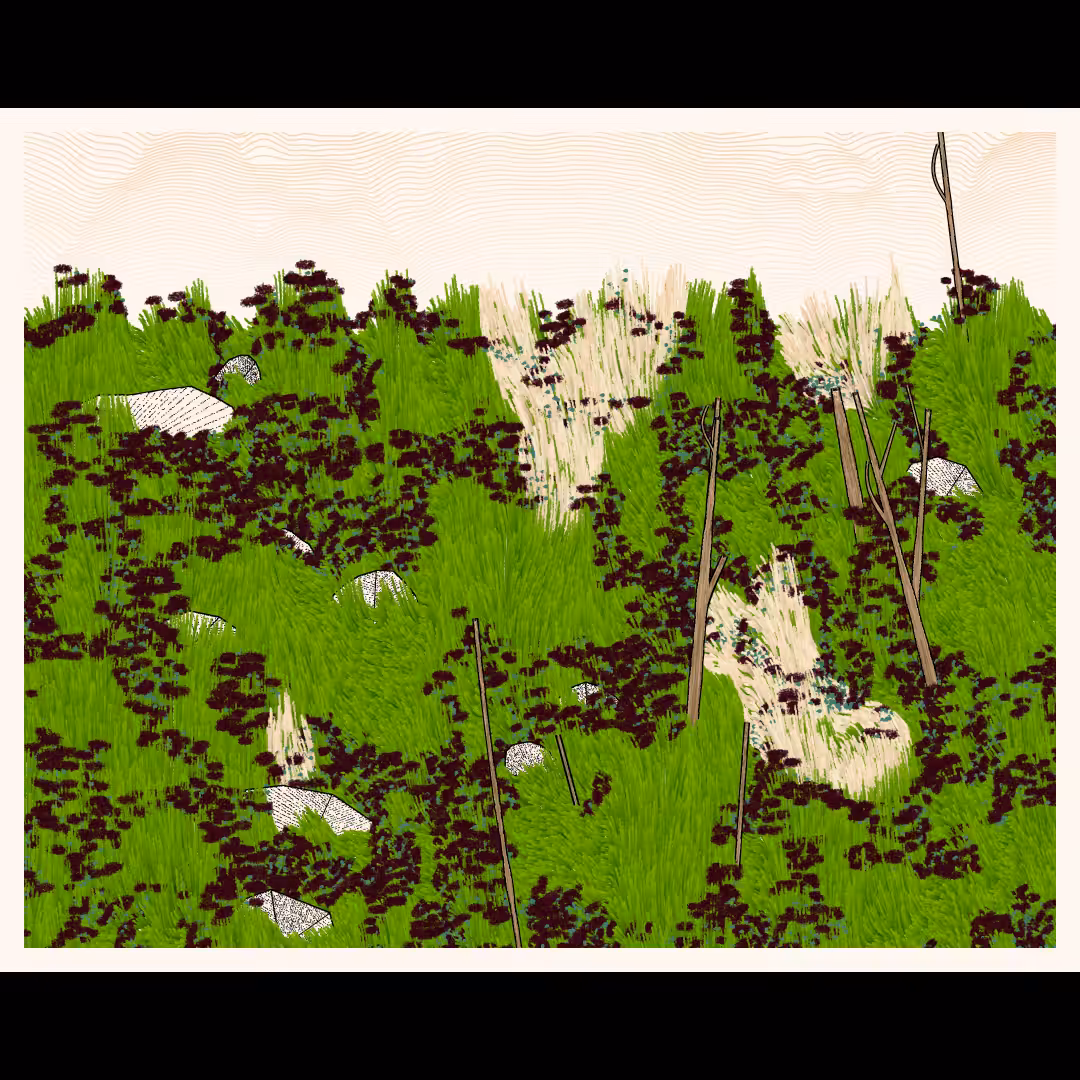 Bagh #117