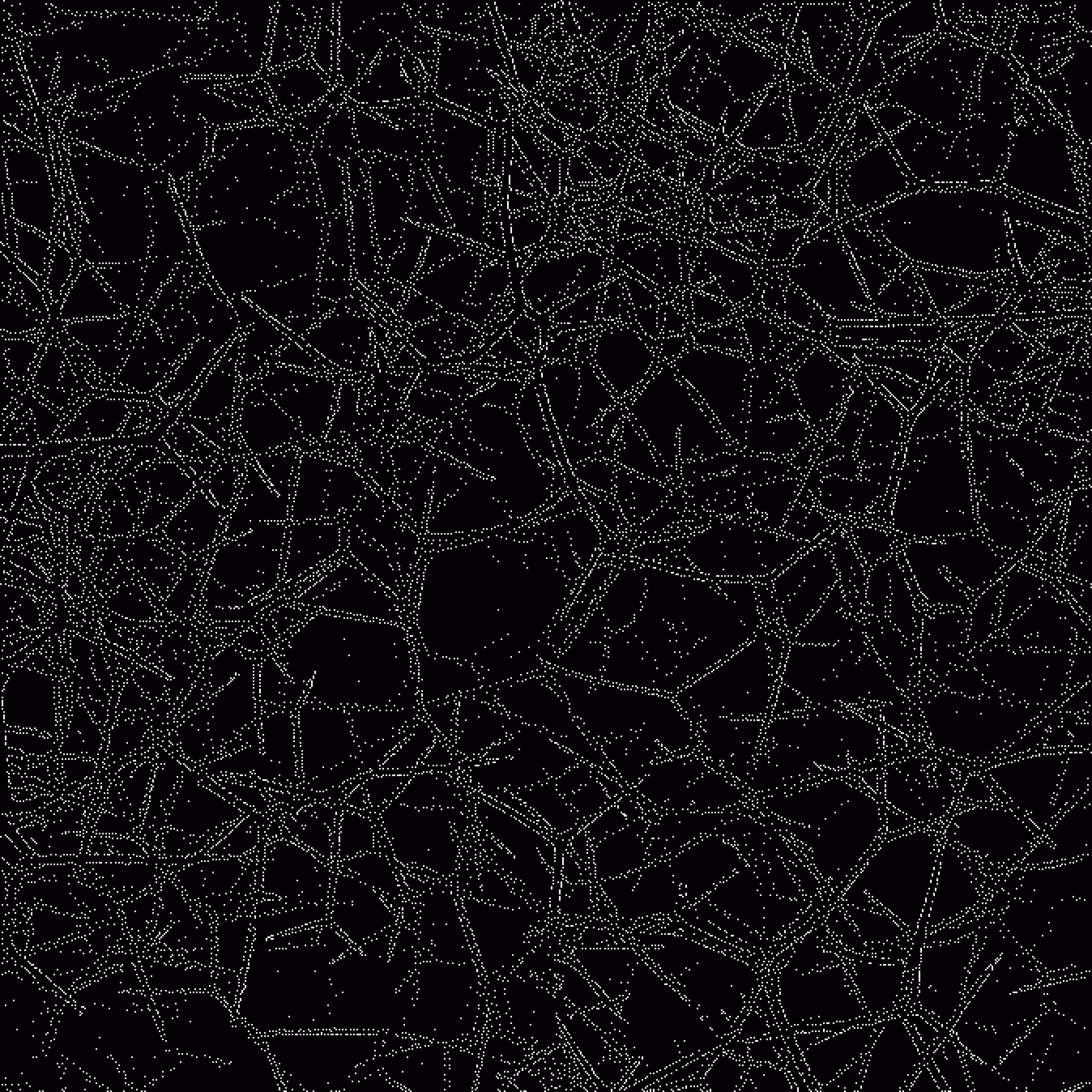 Vegetal structure 1