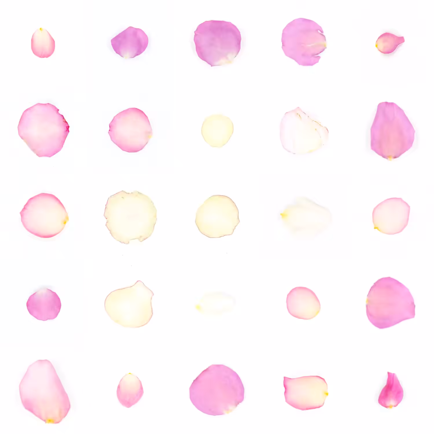 Infinite Petals 5x5#263