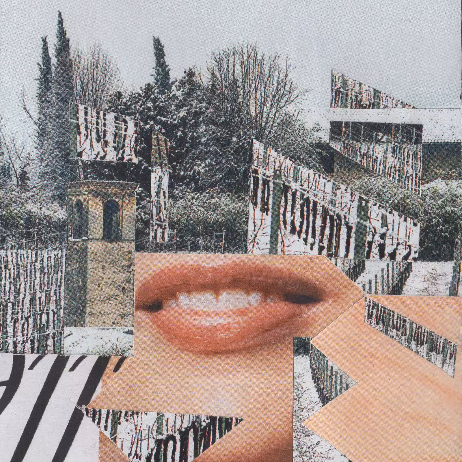 1mouth analog #39