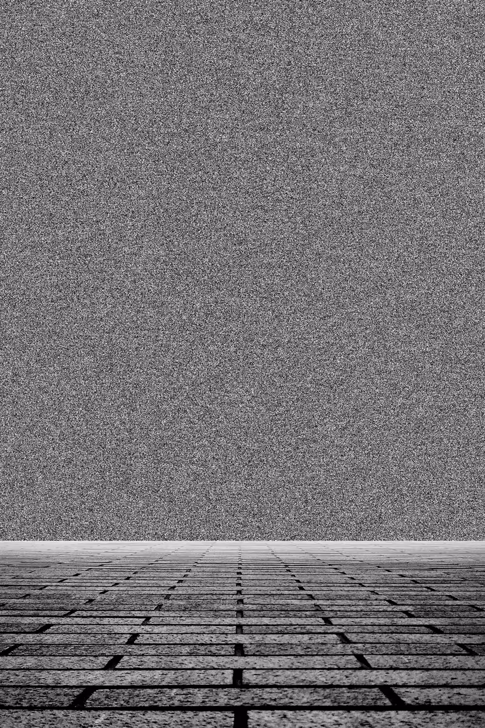 The beauty of the noise.