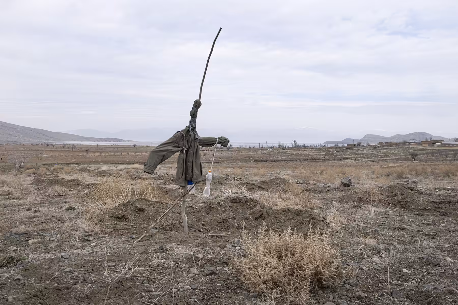 Scarecrows #7