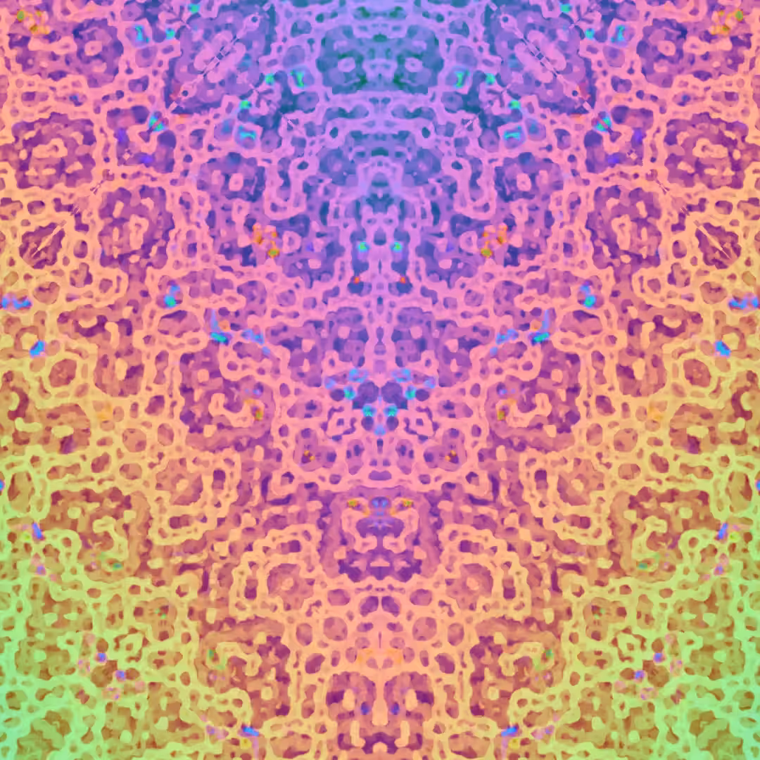 Hypnotic Festivus