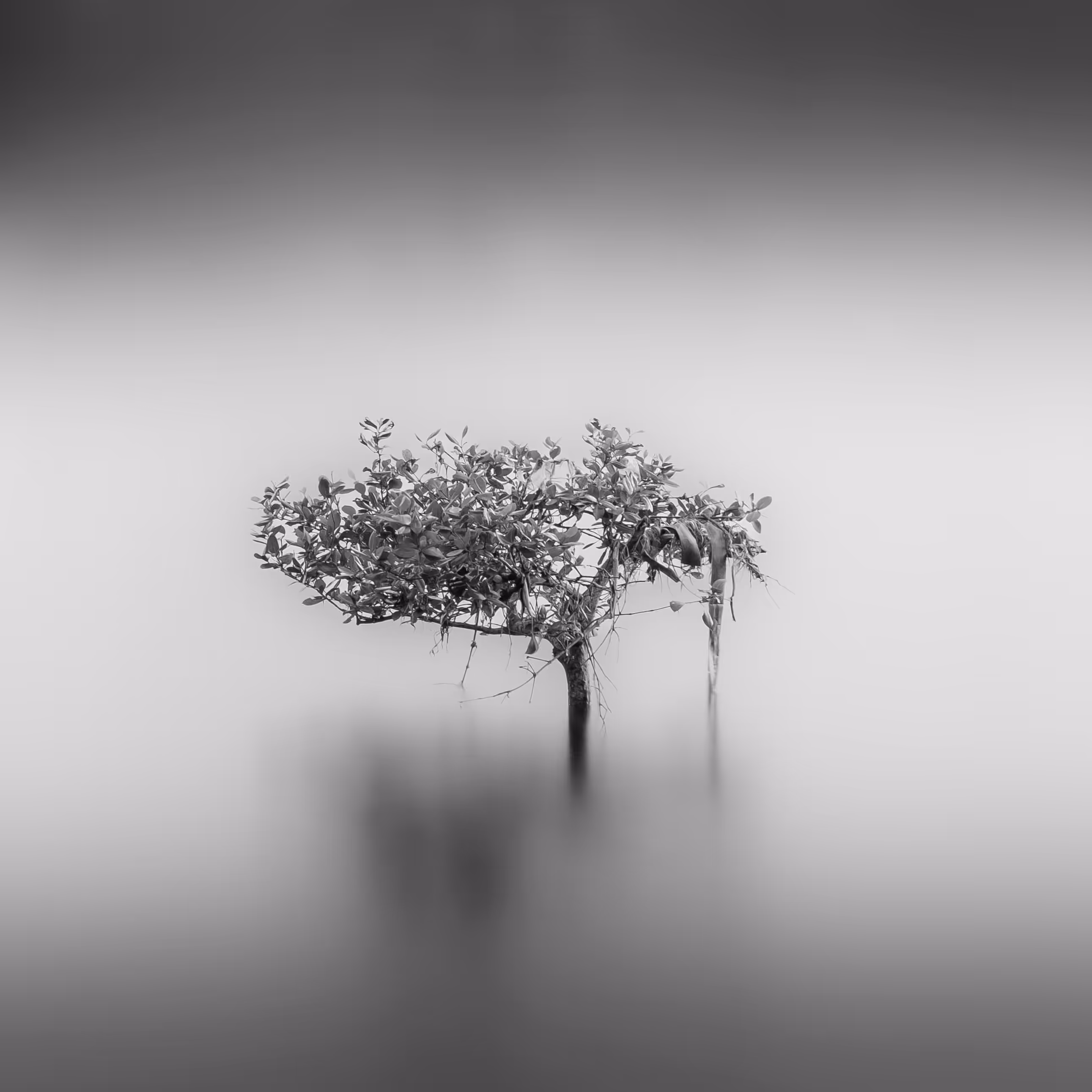 Lonely