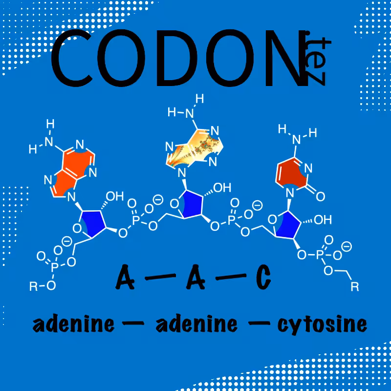 Codon Minter #4