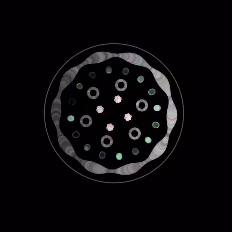 Fluidynamix - Rings #77