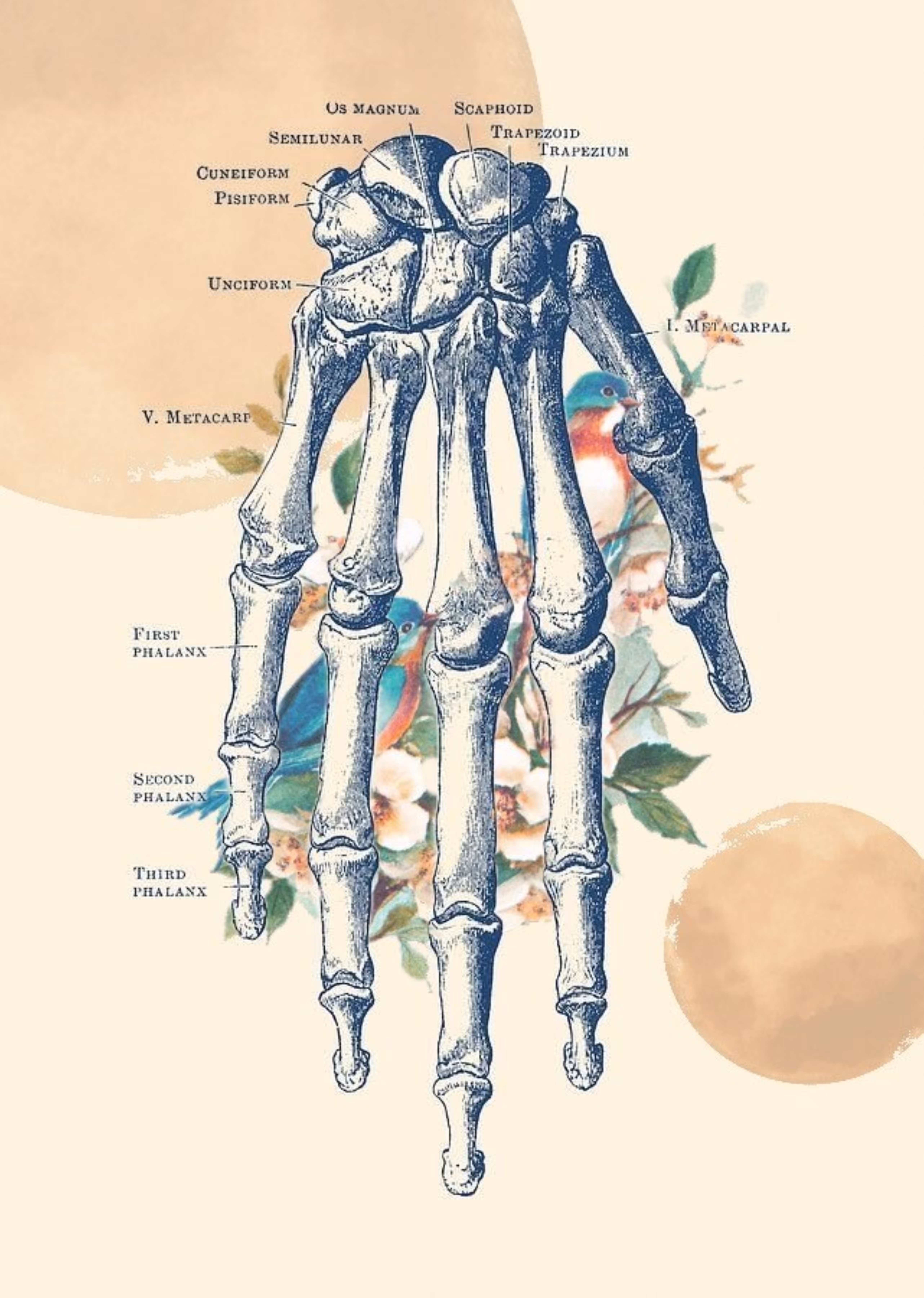 The Hand
