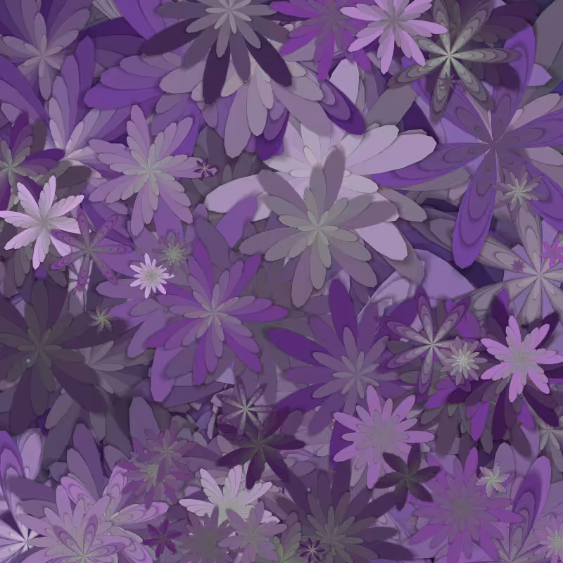 Flowerfield.  #2