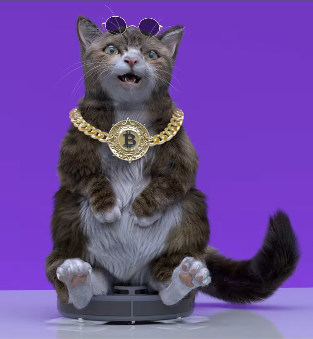 Happy Bitcoin Cat
