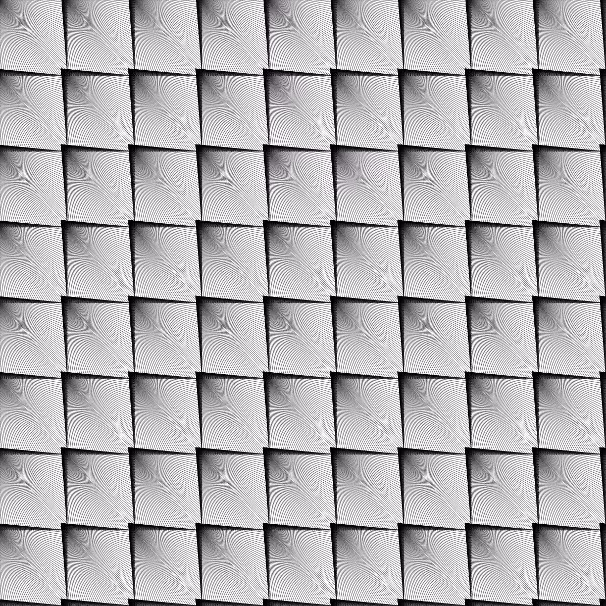 Noir et Blanc #54