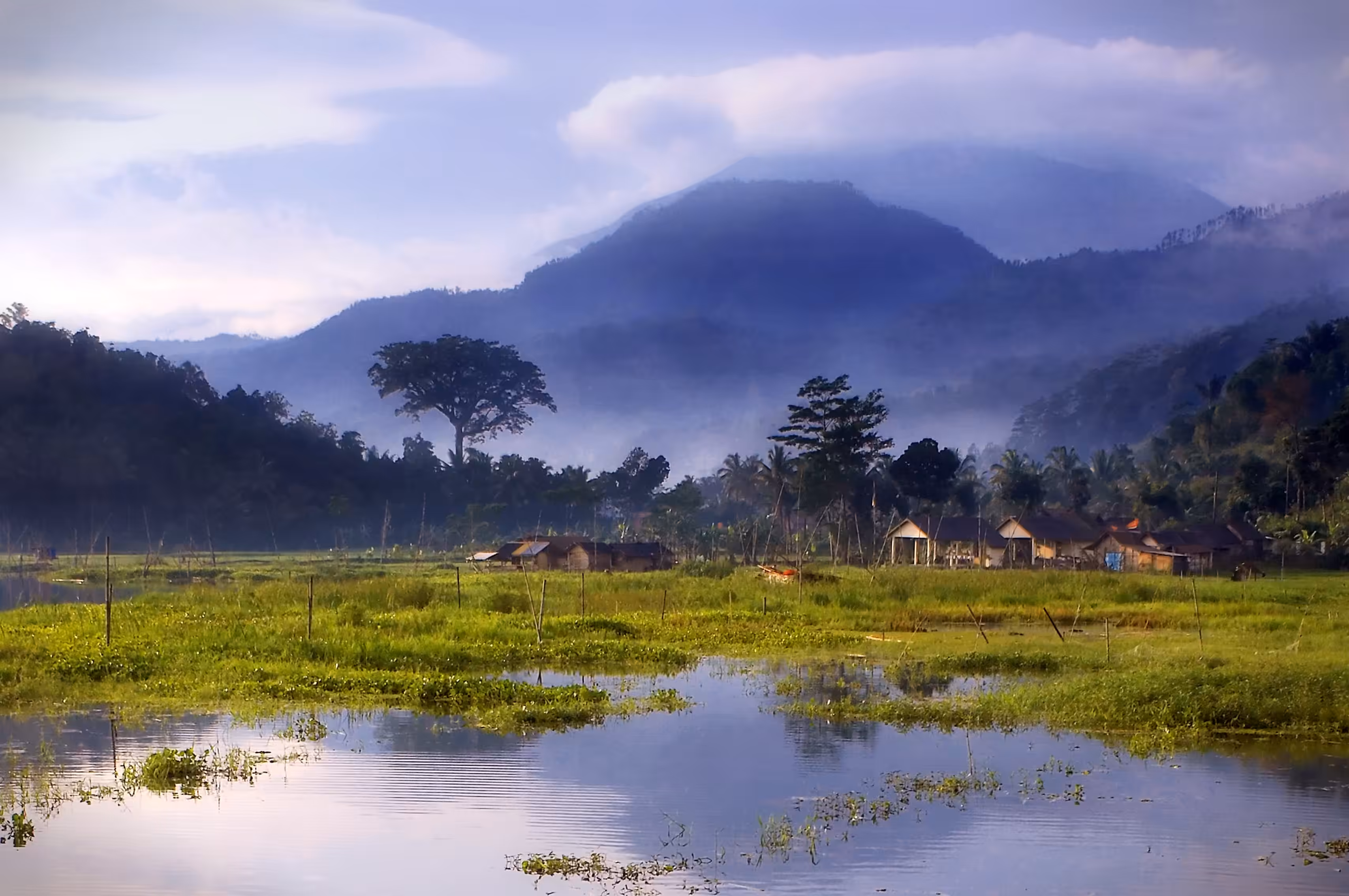 Morning View at Rawa Pening