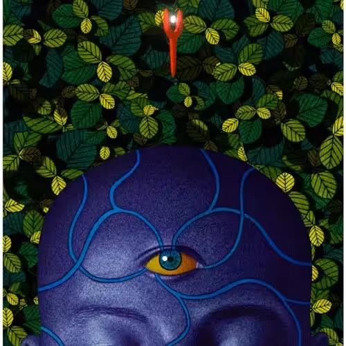 21st Century Digital Shaman