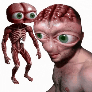 plooskearn