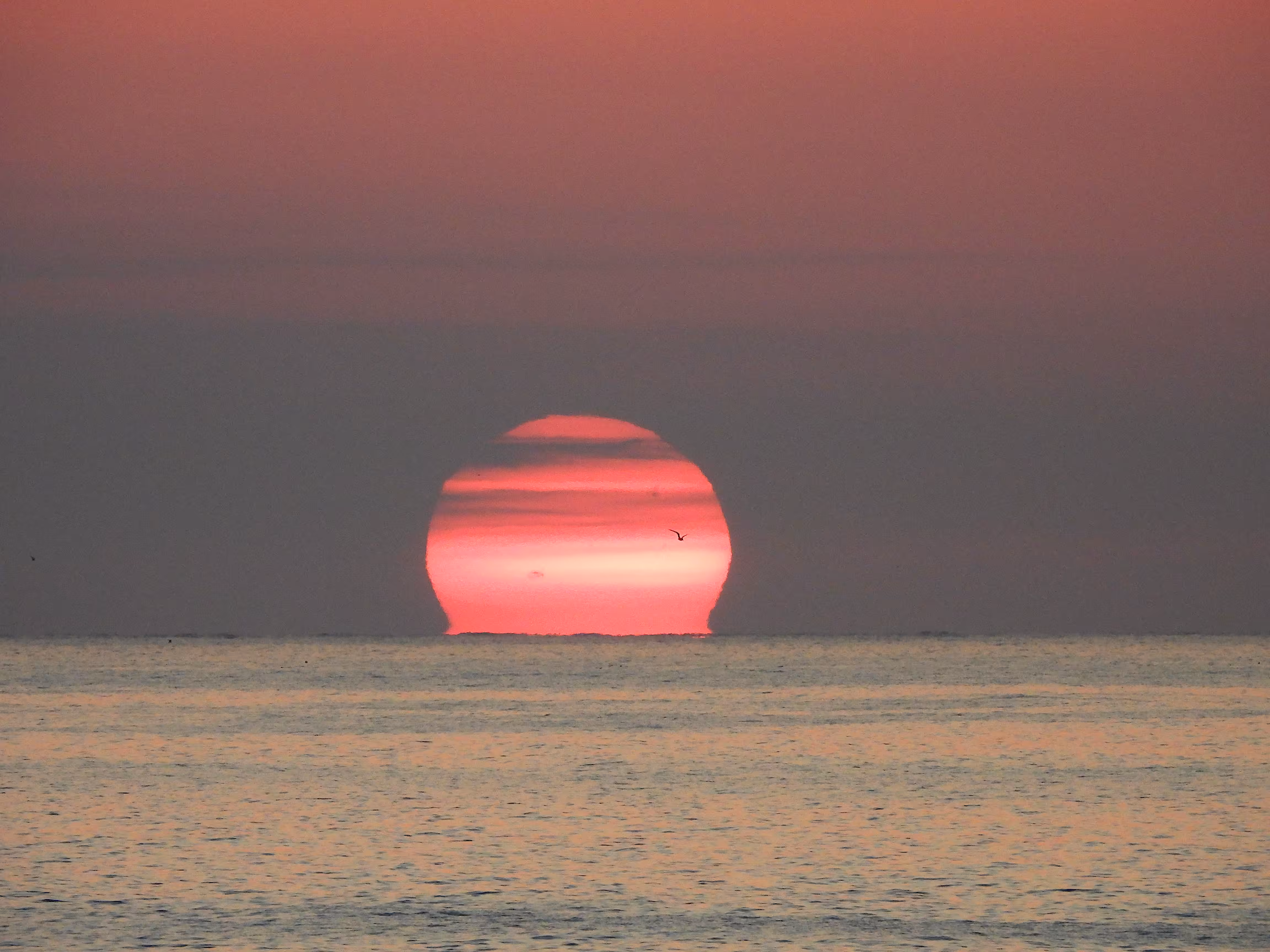 Tom Flender Photo Collection 2024 to 2026: Sunrise #1