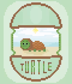 TURTLE 'KIWI'