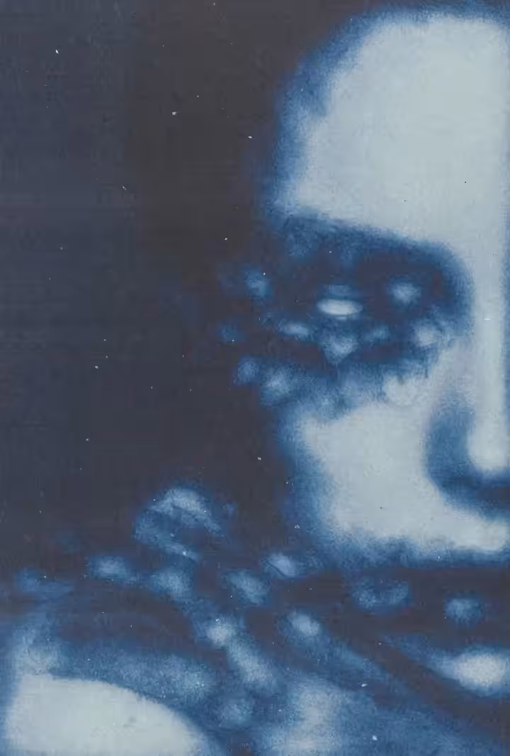 experimentalia🪞: ✶ BLOOM IN SILENCE ✶