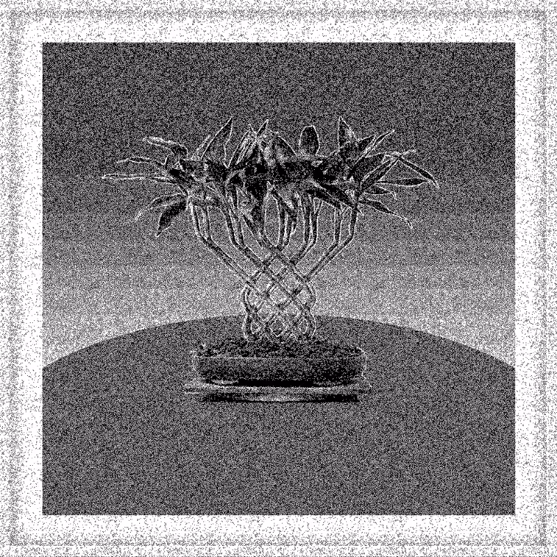 Bonsai Bonanza #304