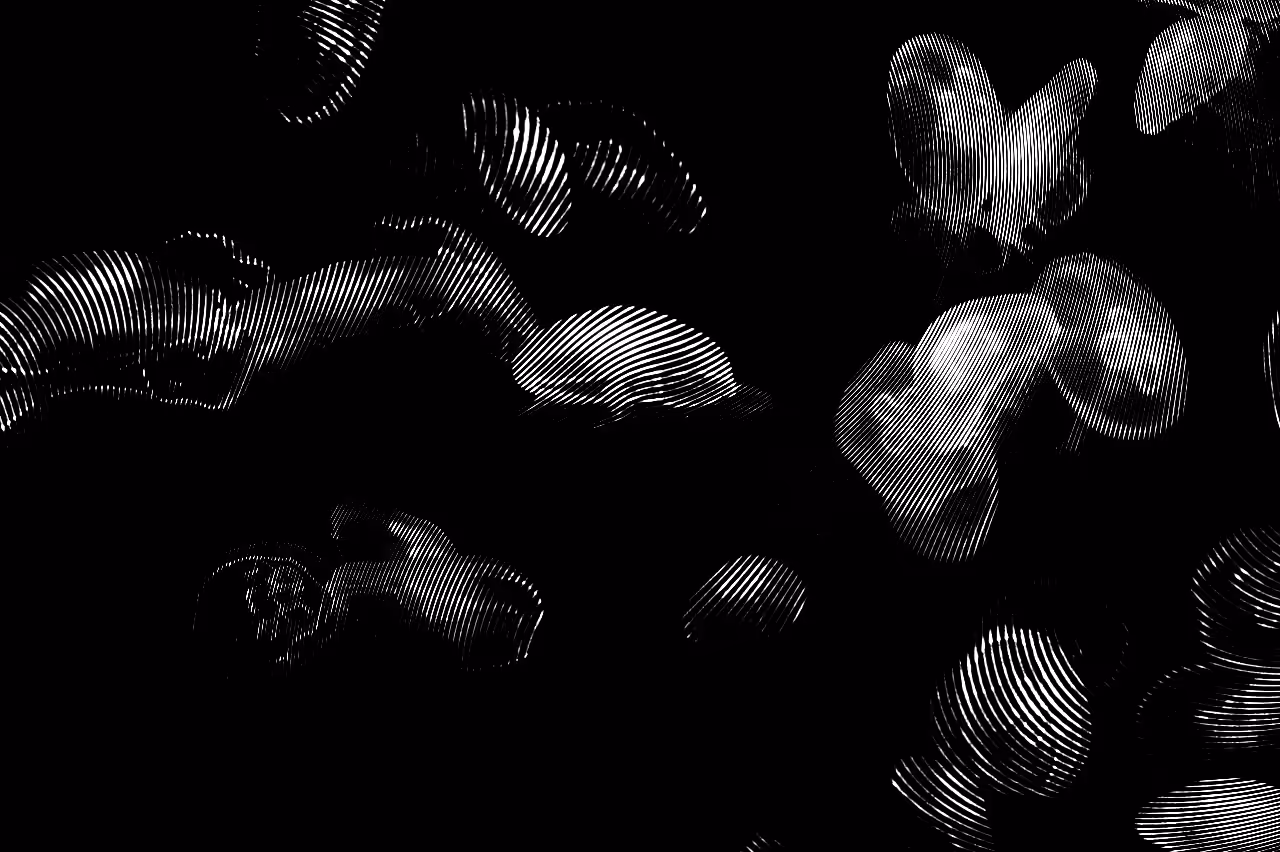 jellyfish swim and quietly say nonsense and nonsense in your ear