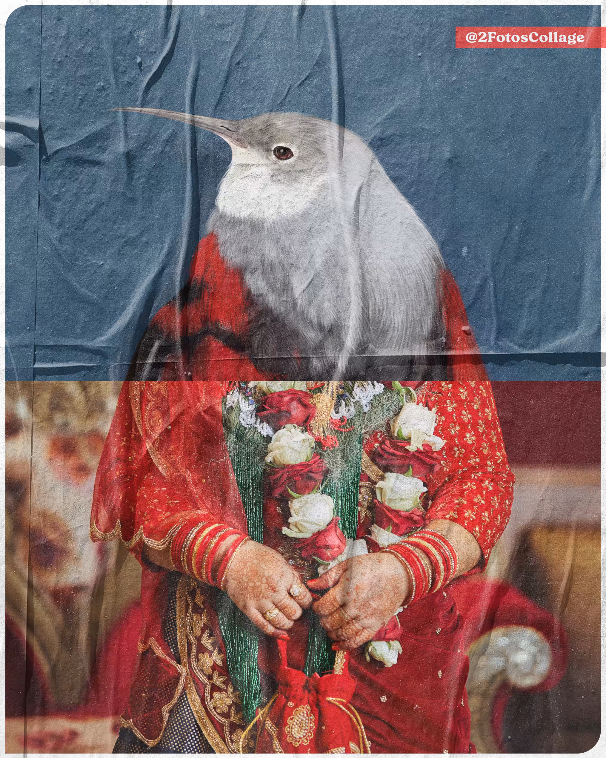 2FotosCollage x NurArt Red&BlackBird