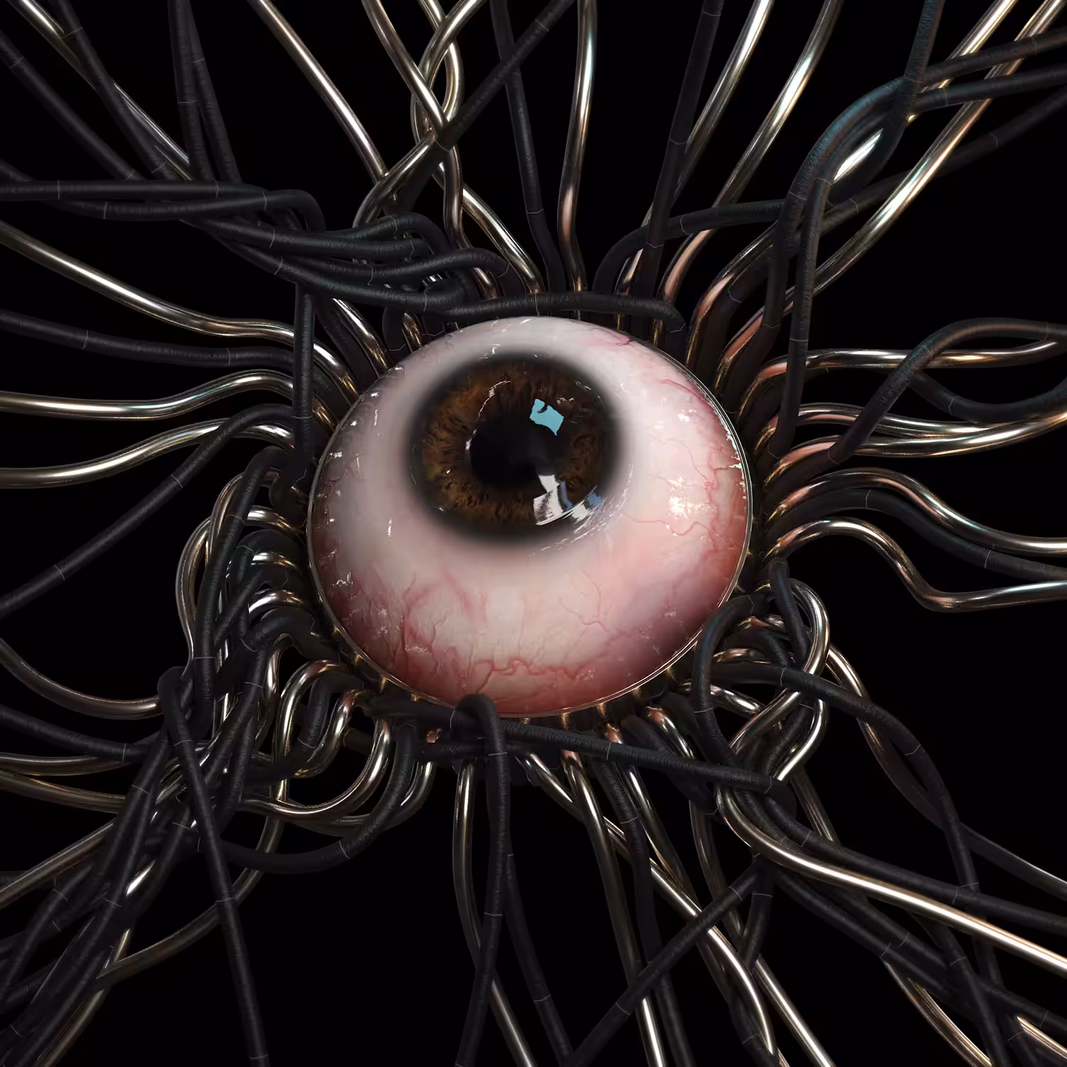 Metal Eye